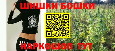 мет Дмитров